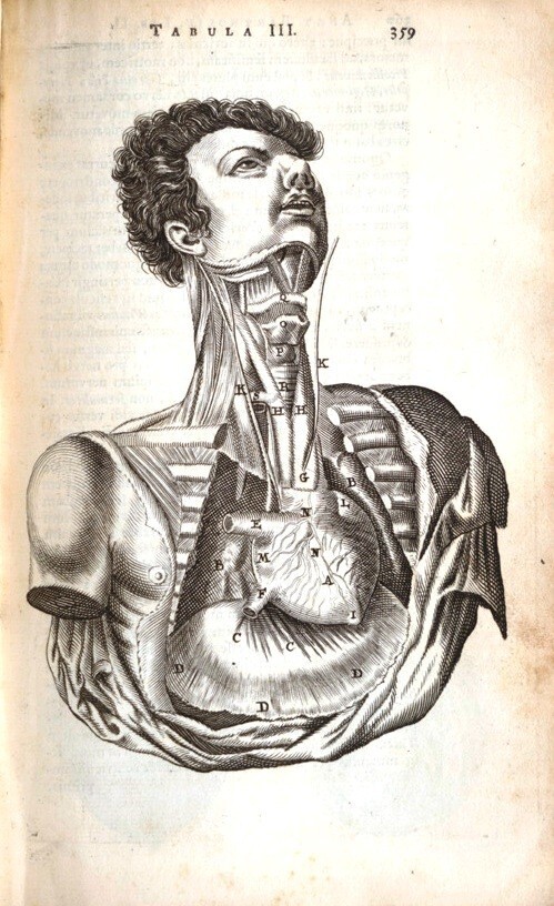 Image for tag Medicin